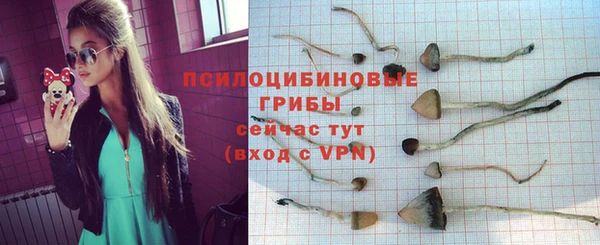 хмурый Краснотурьинск