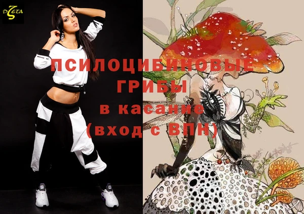 хмурый Краснотурьинск