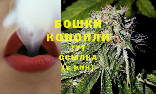 дживик Кулебаки